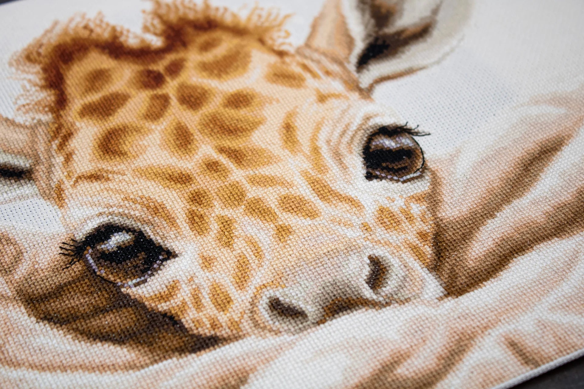 Cross Stitch Kit Luca - S - The Baby Giraffe, B2425 | Knitting yarn shop / dzijas veikals