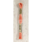 DMC Stranded cotton - 0124 | Knitting yarn shop / dzijas veikals