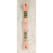 DMC Stranded cotton - 0125 | Knitting yarn shop / dzijas veikals