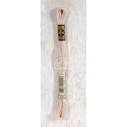 DMC Stranded cotton - 0170 | Knitting yarn shop / dzijas veikals