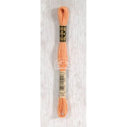 DMC Stranded cotton - 0217 | Knitting yarn shop / dzijas veikals