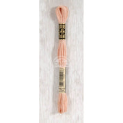 DMC Stranded cotton - 0237 | Knitting yarn shop / dzijas veikals