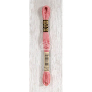 DMC Stranded cotton - 0239 | Knitting yarn shop / dzijas veikals