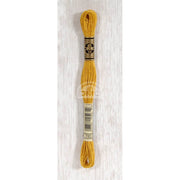 DMC Stranded cotton - 0249 | Knitting yarn shop / dzijas veikals