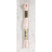 DMC Stranded cotton - 0269 | Knitting yarn shop / dzijas veikals