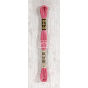 DMC Stranded cotton - 0343 | Knitting yarn shop / dzijas veikals