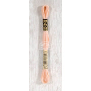 DMC Stranded cotton - 0348 | Knitting yarn shop / dzijas veikals