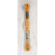 DMC Stranded cotton - 0354 | Knitting yarn shop / dzijas veikals