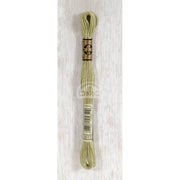 DMC Stranded cotton - 0366 | Knitting yarn shop / dzijas veikals