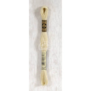 DMC Stranded cotton - 0378 | Knitting yarn shop / dzijas veikals