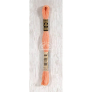 DMC Stranded cotton - 0389 | Knitting yarn shop / dzijas veikals