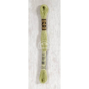 DMC Stranded cotton - 0393 | Knitting yarn shop / dzijas veikals