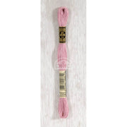 DMC Stranded cotton - 0395 | Knitting yarn shop / dzijas veikals