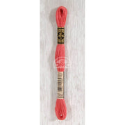 DMC Stranded cotton - 0407 | Knitting yarn shop / dzijas veikals