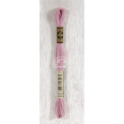 DMC Stranded cotton - 0416 | Knitting yarn shop / dzijas veikals