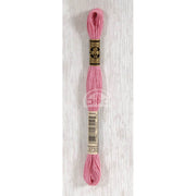 DMC Stranded cotton - 0418 | Knitting yarn shop / dzijas veikals