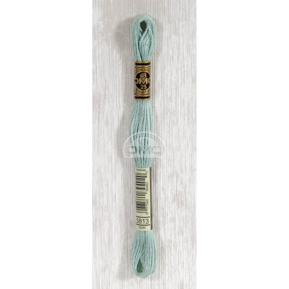 DMC Stranded cotton - 0458 | Knitting yarn shop / dzijas veikals