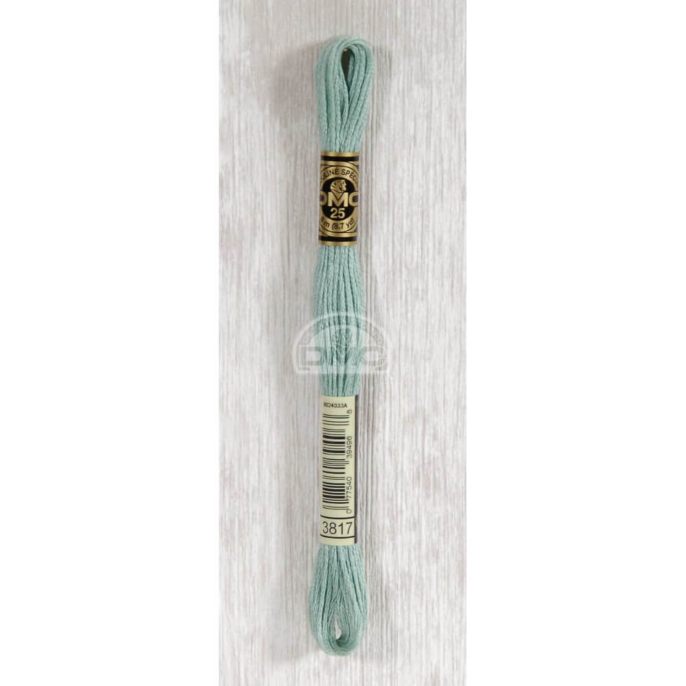 DMC Stranded cotton - 0462 | Knitting yarn shop / dzijas veikals