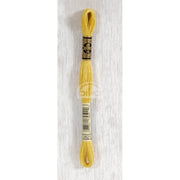 DMC Stranded cotton - 0466 | Knitting yarn shop / dzijas veikals