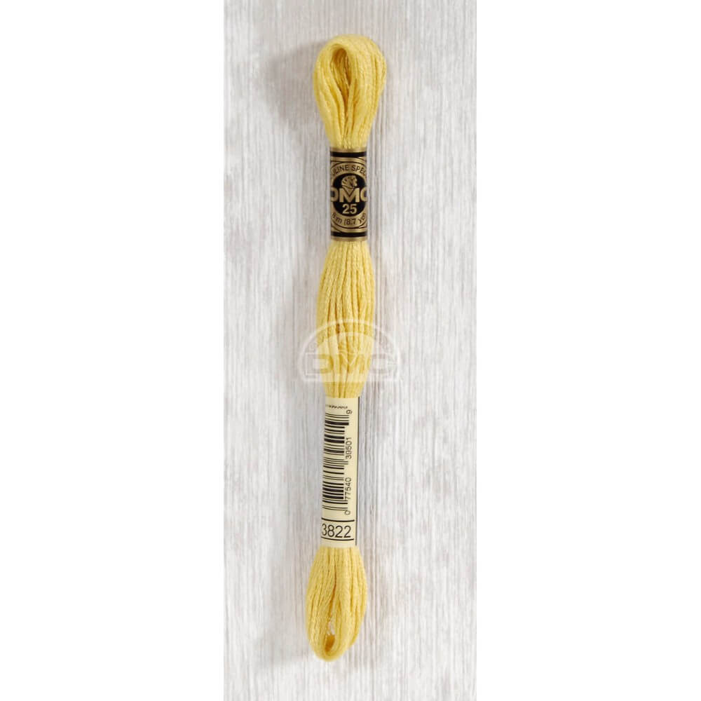 DMC Stranded cotton - 0467 | Knitting yarn shop / dzijas veikals