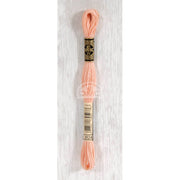 DMC Stranded cotton - 0469 | Knitting yarn shop / dzijas veikals