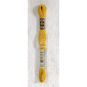 DMC Stranded cotton - 0497 | Knitting yarn shop / dzijas veikals