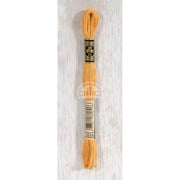 DMC Stranded cotton - 0499 | Knitting yarn shop / dzijas veikals