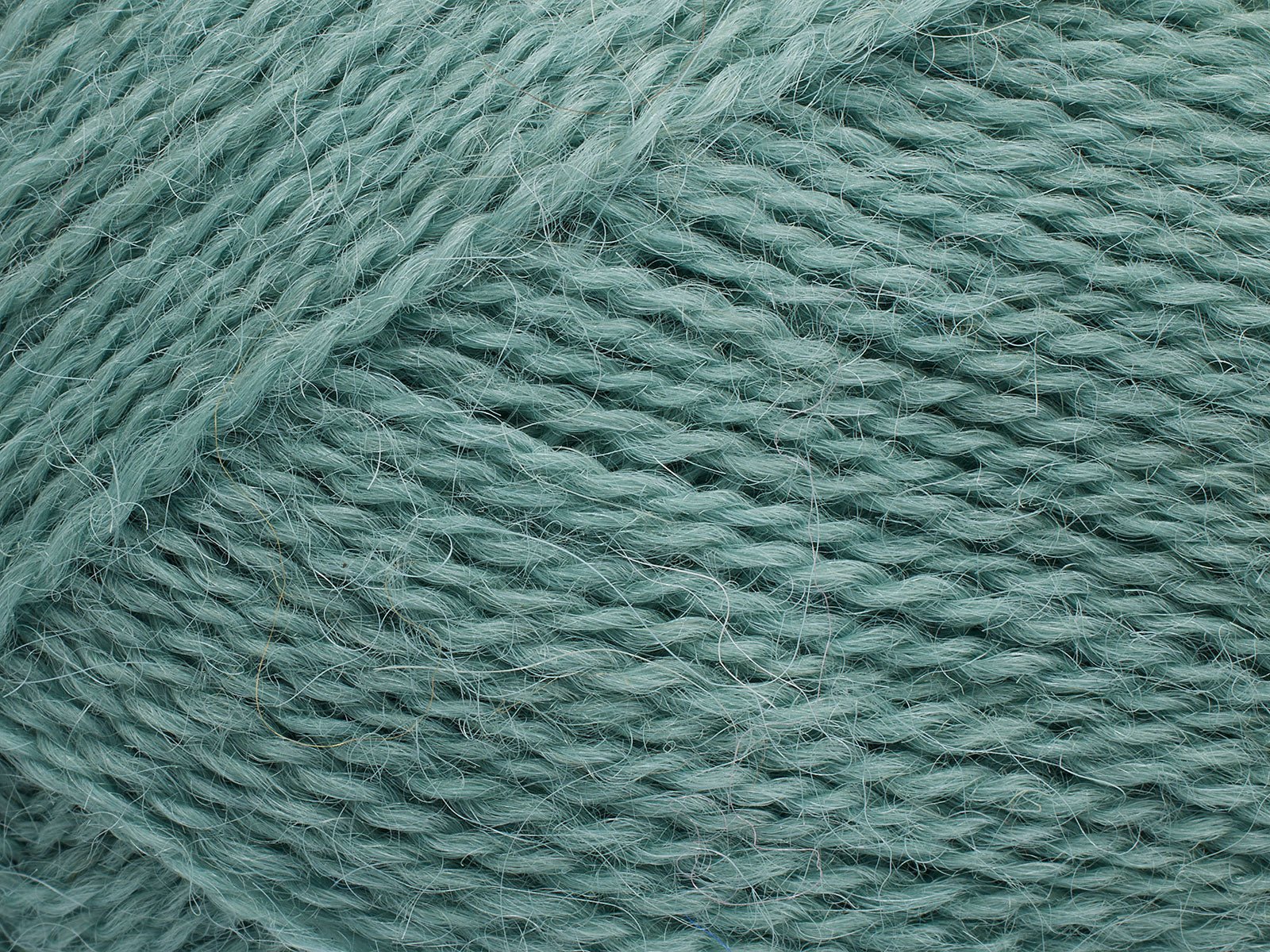 FILCOLANA Alva Eucalyptus - 368 | Knitting yarn shop / dzijas veikals