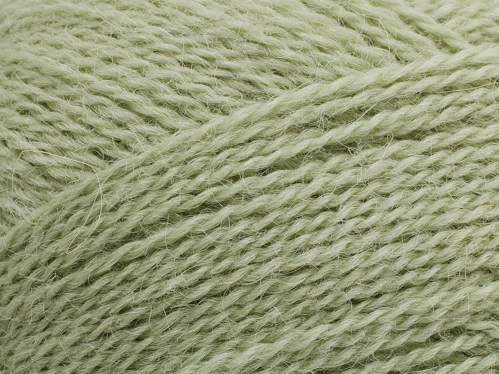 FILCOLANA Alva Green Tea - 355 | Knitting yarn shop / dzijas veikals