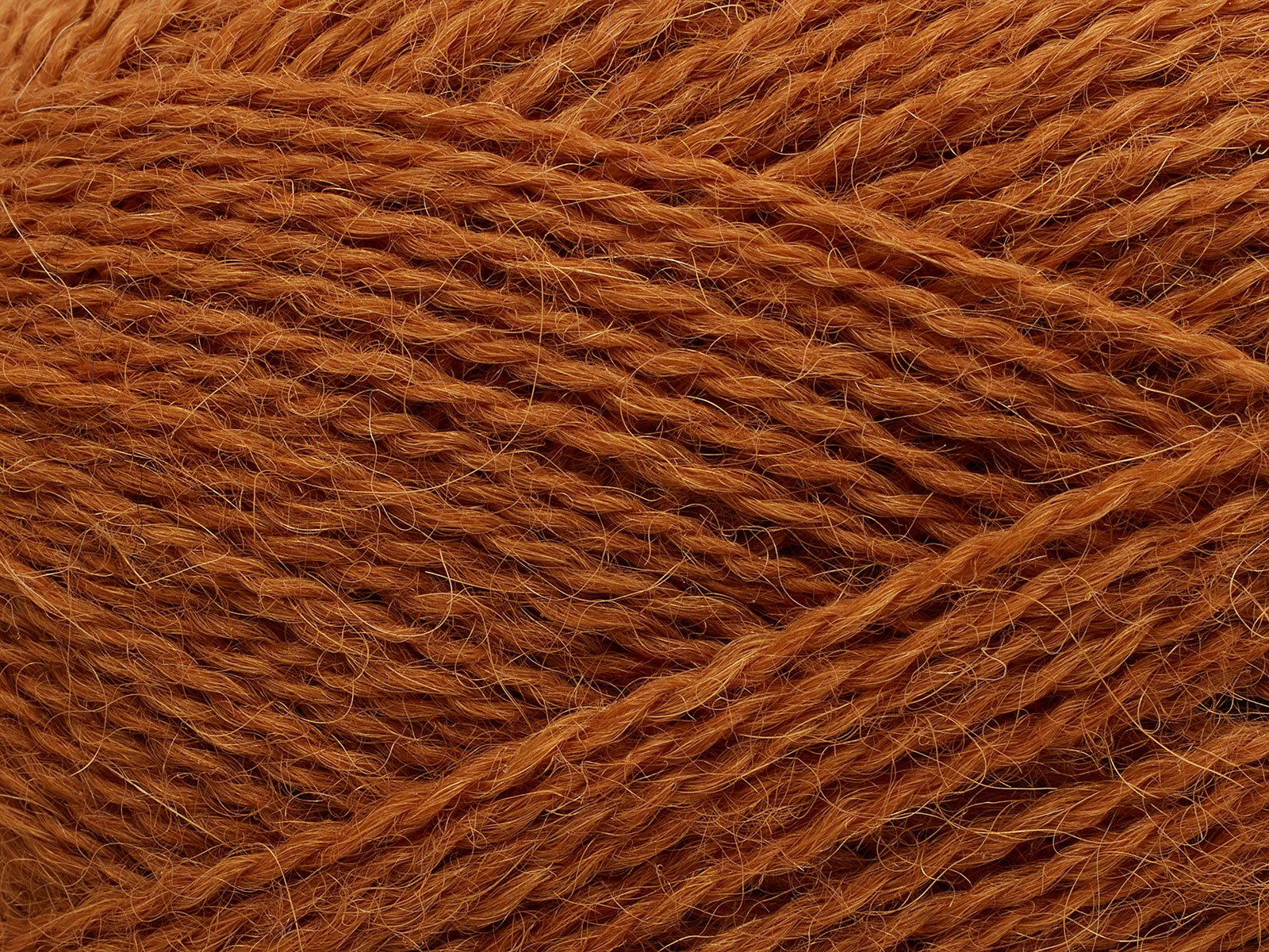 FILCOLANA Alva Sugar Almond - 366 | Knitting yarn shop / dzijas veikals