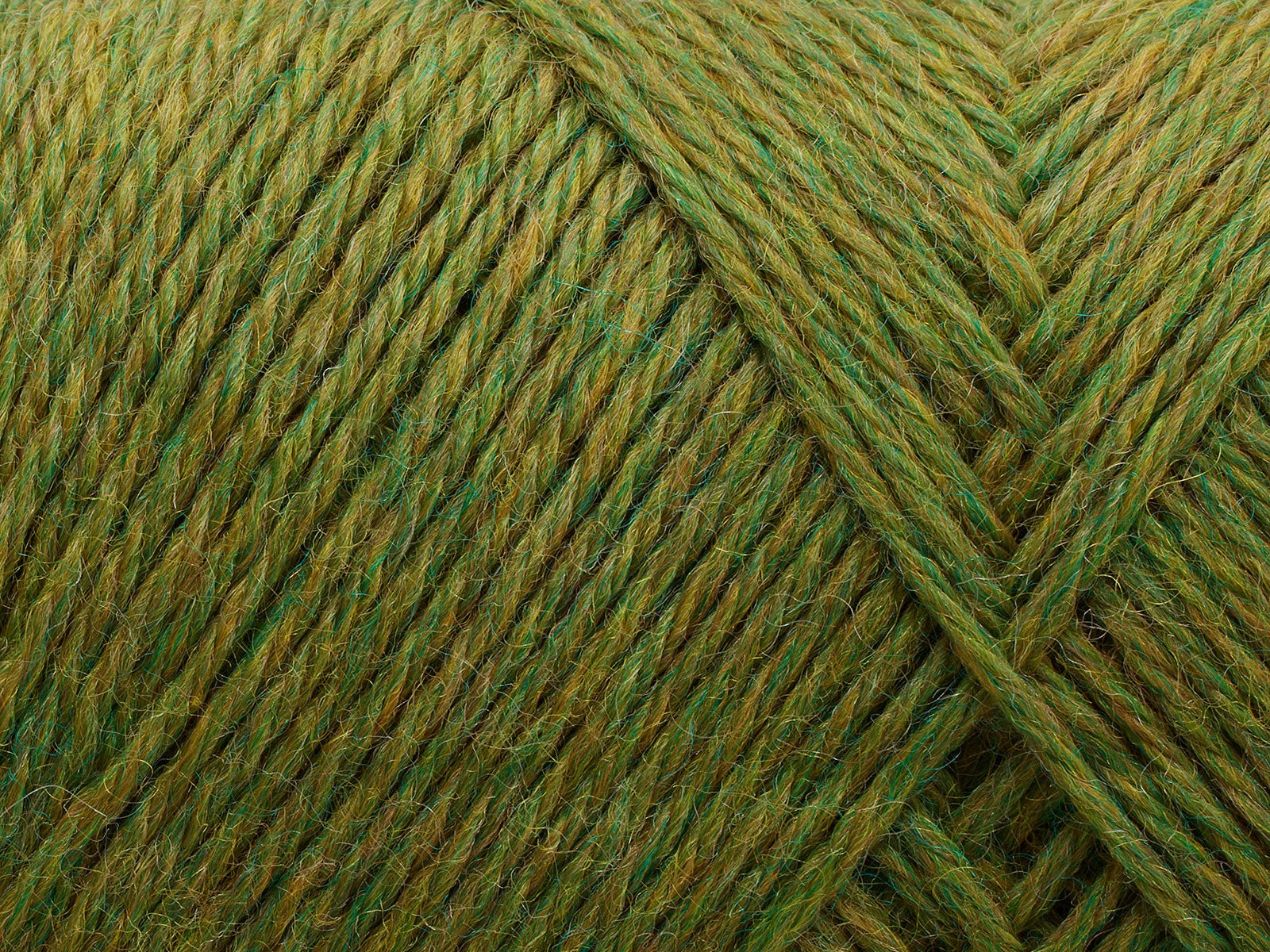 FILCOLANA Arwetta 70 color variants Avocado - 809 | Knitting yarn shop / dzijas veikals