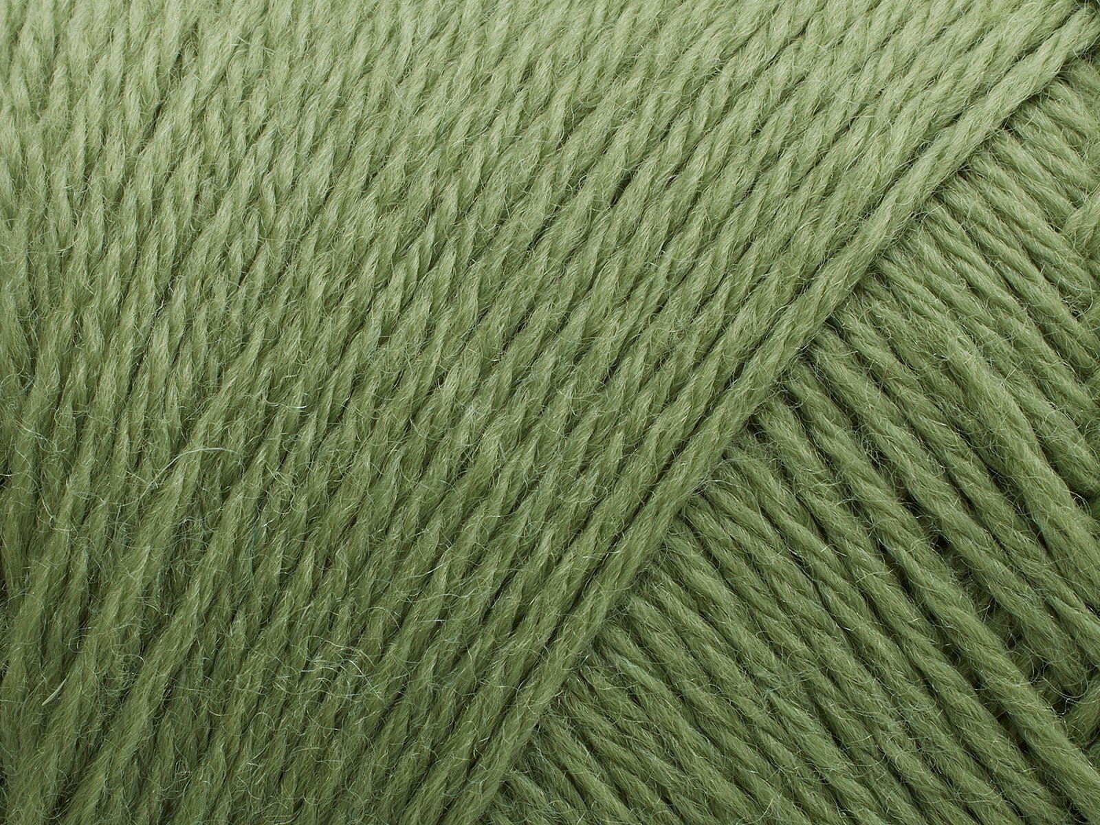 FILCOLANA Arwetta 70 color variants Basswood Green - 243 | Knitting yarn shop / dzijas veikals