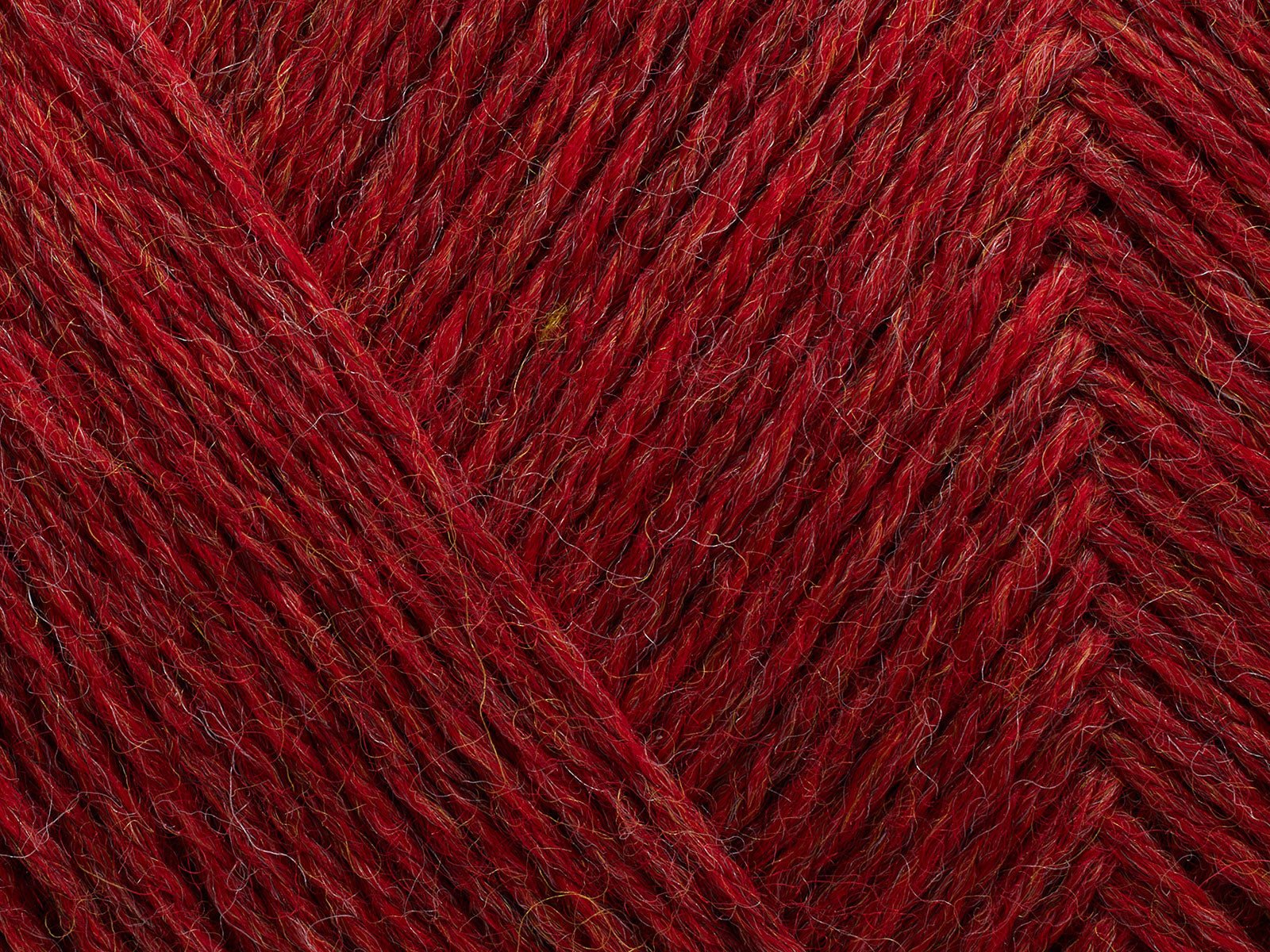 FILCOLANA Arwetta 70 color variants Chrysanthemum (melange - 810 | Knitting yarn shop / dzijas veikals