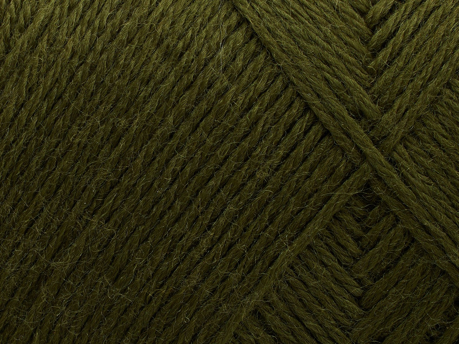 FILCOLANA Arwetta 70 color variants Deep Olive - 148 | Knitting yarn shop / dzijas veikals