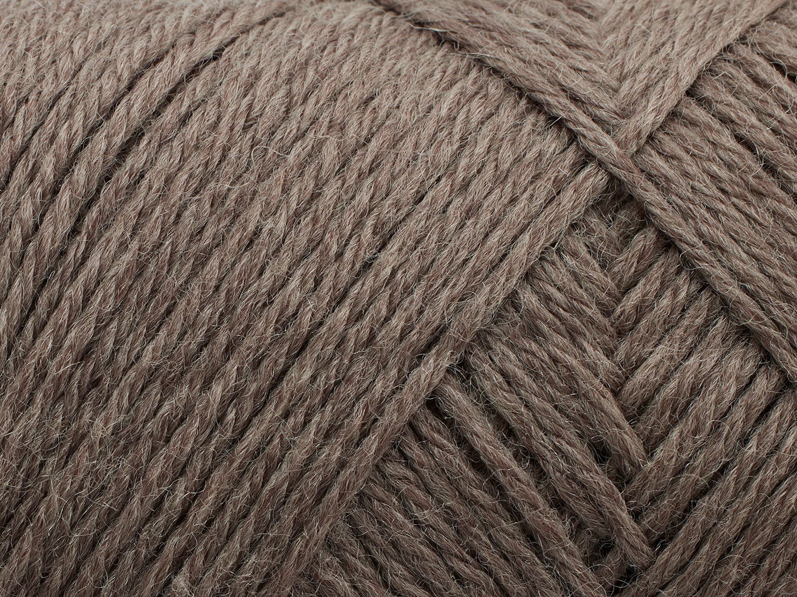 FILCOLANA Arwetta 70 color variants Light Truffle - 354 | Knitting yarn shop / dzijas veikals