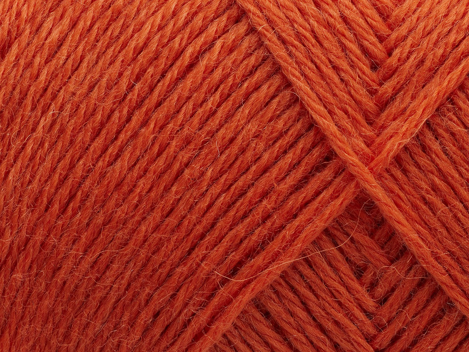 FILCOLANA Arwetta 70 color variants Tangerine - 198 | Knitting yarn shop / dzijas veikals