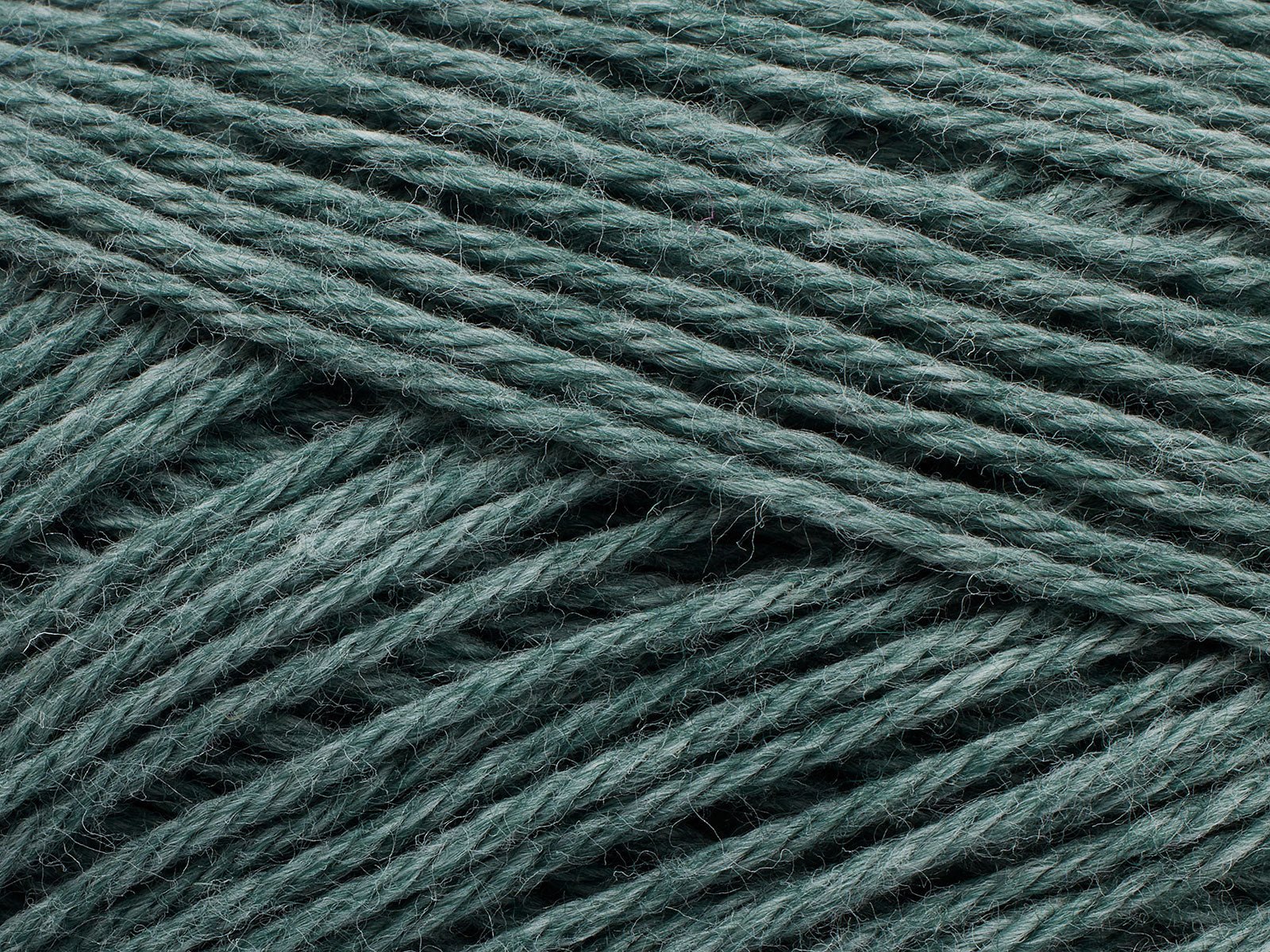 FILCOLANA Merci Fern - 602 | Knitting yarn shop / dzijas veikals