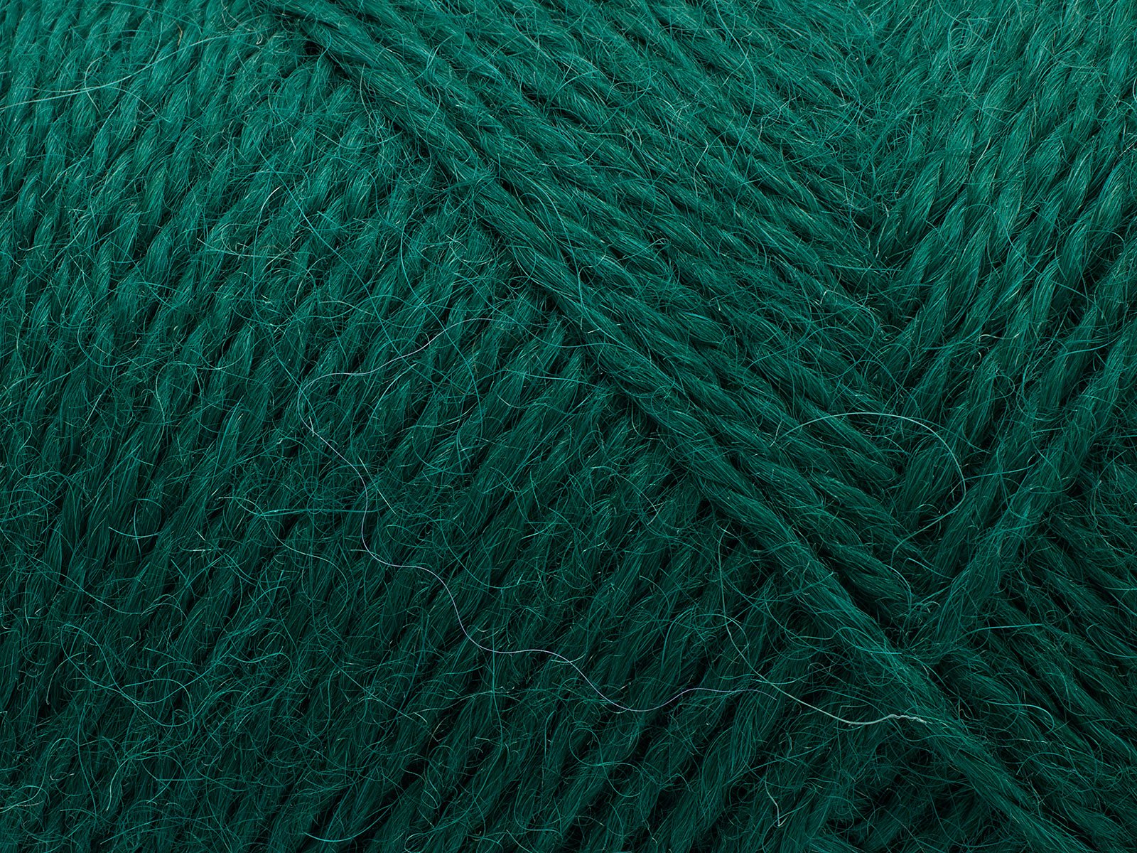 FILCOLANA Vilja Forest Green - 244 | Knitting yarn shop / dzijas veikals