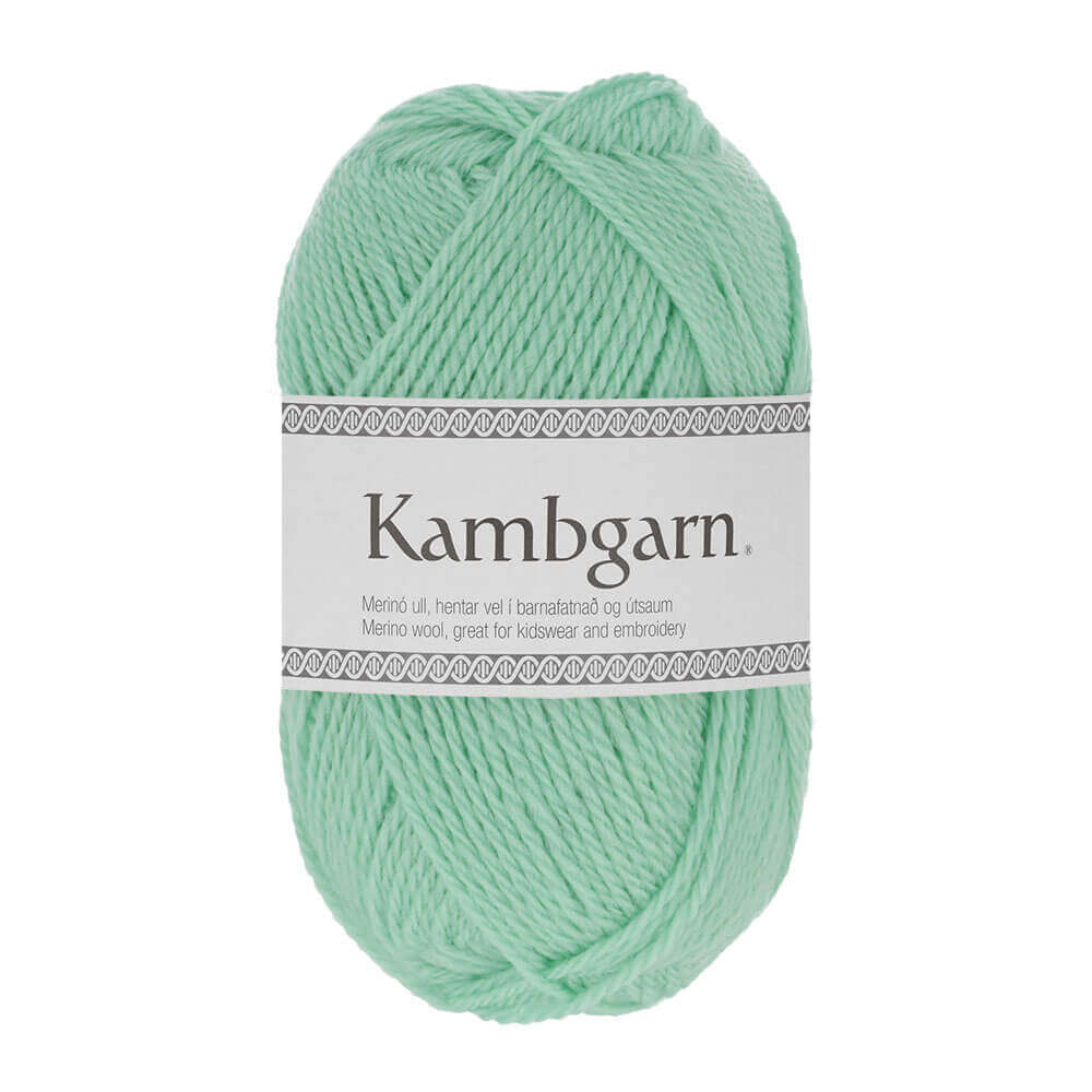 Istex Kambgarn Merino Yarn,50g 1217 | Knitting yarn shop / dzijas veikals