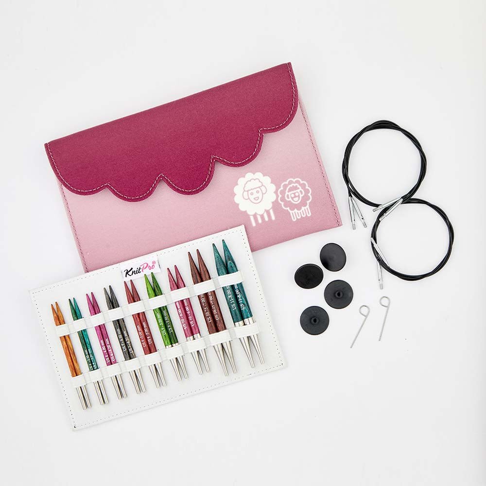 KnitPro Dreamz Special Interchangeable needle tip 10cm set Deluxe | Knitting yarn shop / dzijas veikals