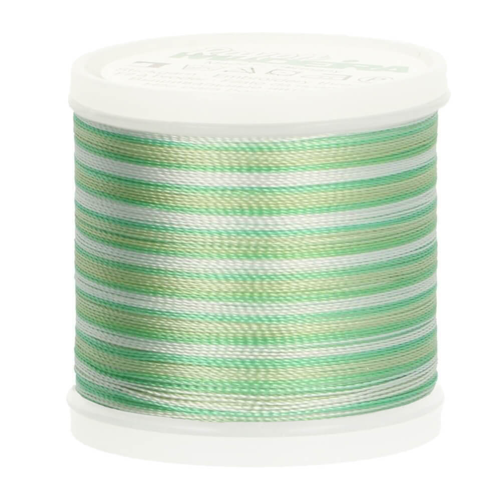 Madeira Rayon no.40 - 200m ( colors from 1221 to 1304) 2020 | Knitting yarn shop / dzijas veikals