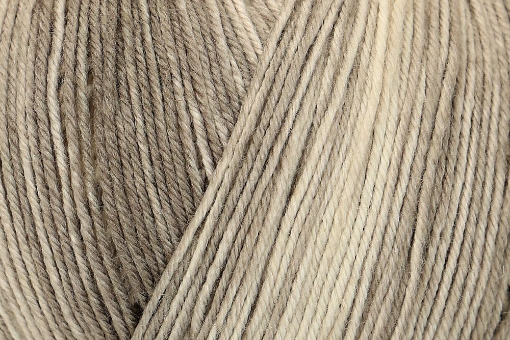 Regia Color Premium Silk Sock Yarn 100g 0021 Taupe | Knitting yarn shop / dzijas veikals