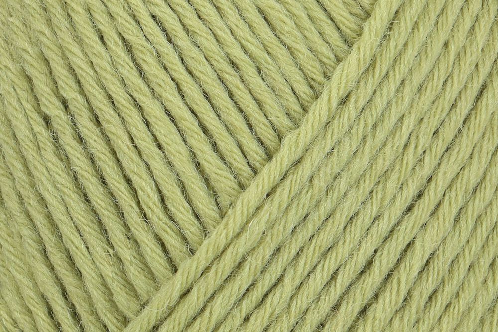 Regia Uni 8ply Sock Yarn 1048 Pistazie | Knitting yarn shop / dzijas veikals
