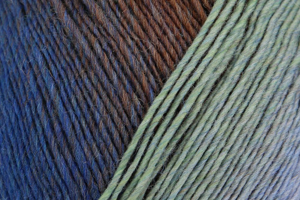 Regia Virtuoso 150 gr Sock Yarn 03075 Pale Summer Day | Knitting yarn shop / dzijas veikals