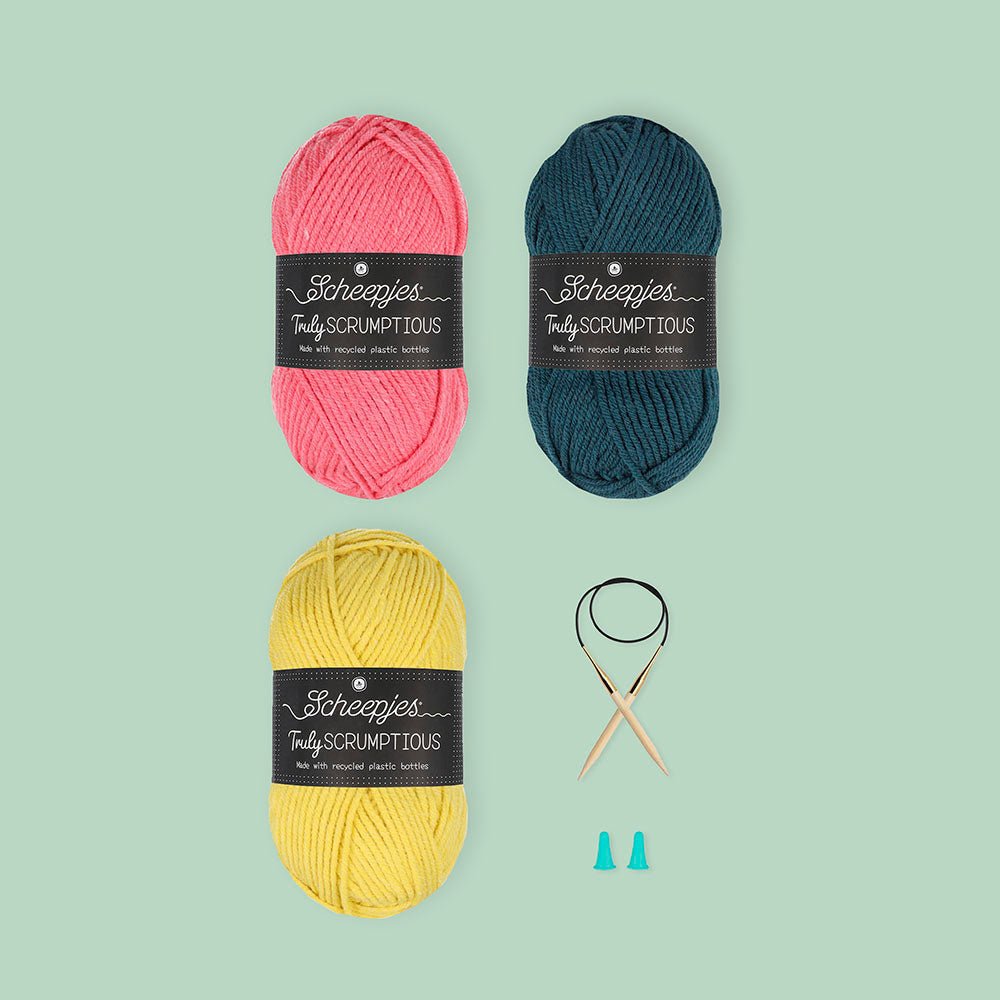 Scheepjes Beginner knit kit Colour Block Scarf | Knitting yarn shop / dzijas veikals