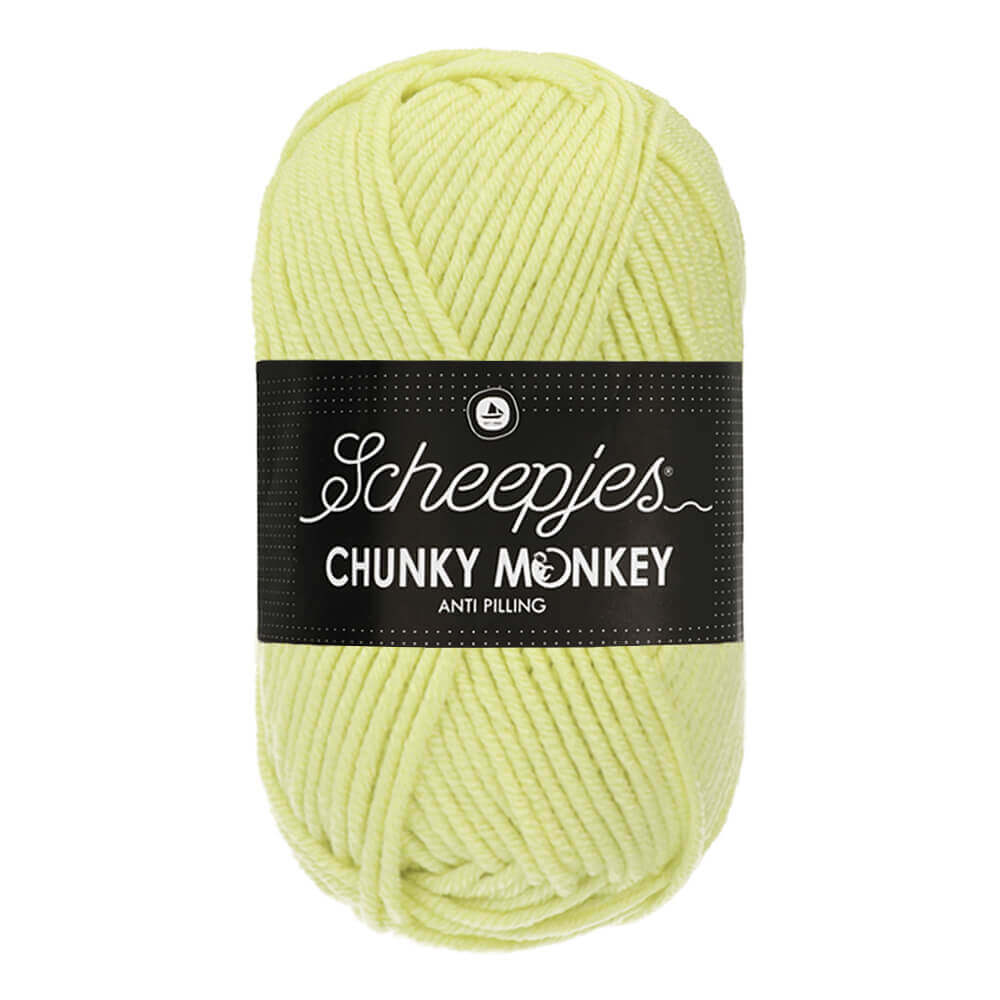 Scheepjes Chunky Monkey 100g 1020 Mint | Knitting yarn shop / dzijas veikals