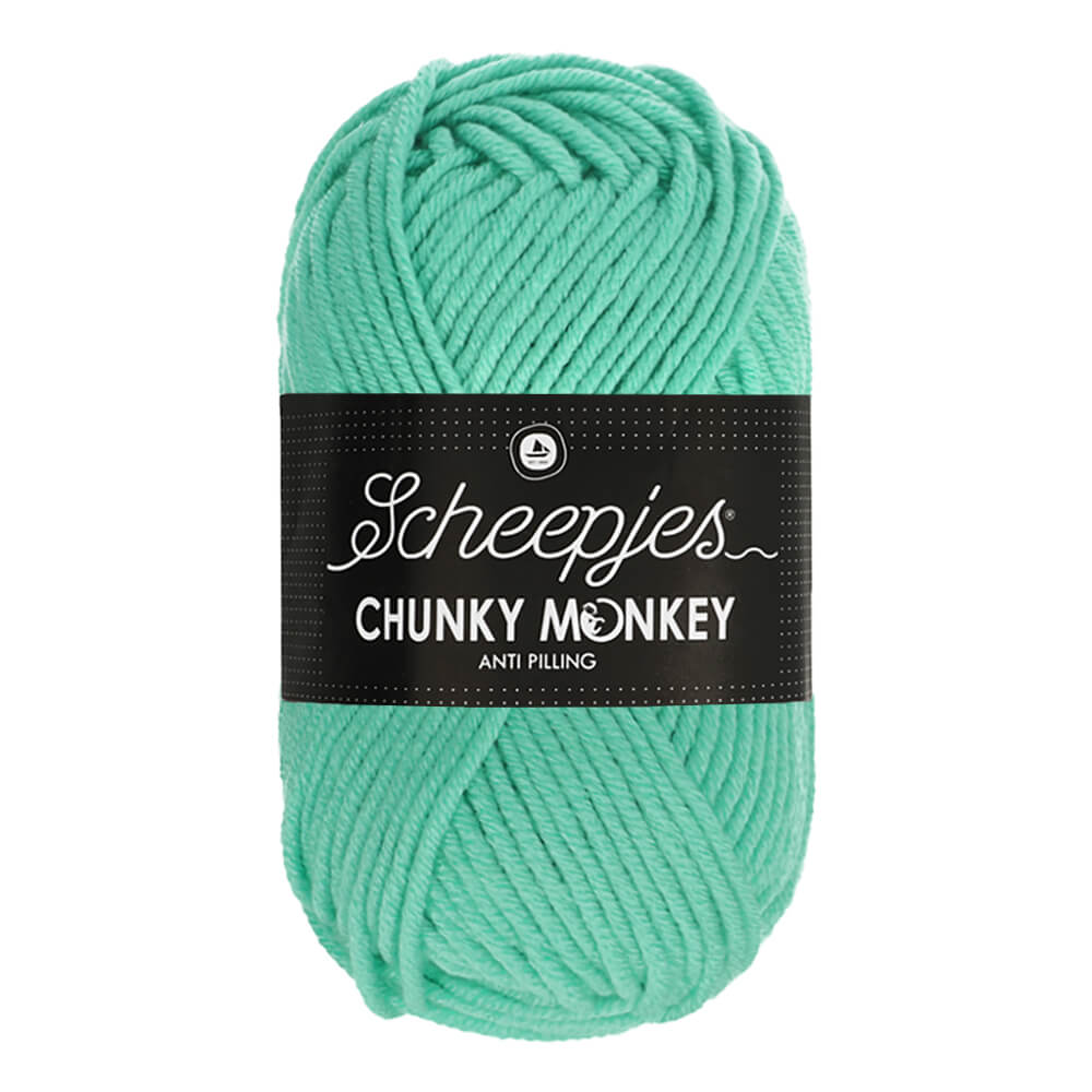 Scheepjes Chunky Monkey 100g 1422 Aqua | Knitting yarn shop / dzijas veikals