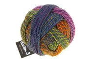 Schoppel Edition 3 100% extra - fine merino wool Yarn 2328_A Day in the Garden | Knitting yarn shop / dzijas veikals