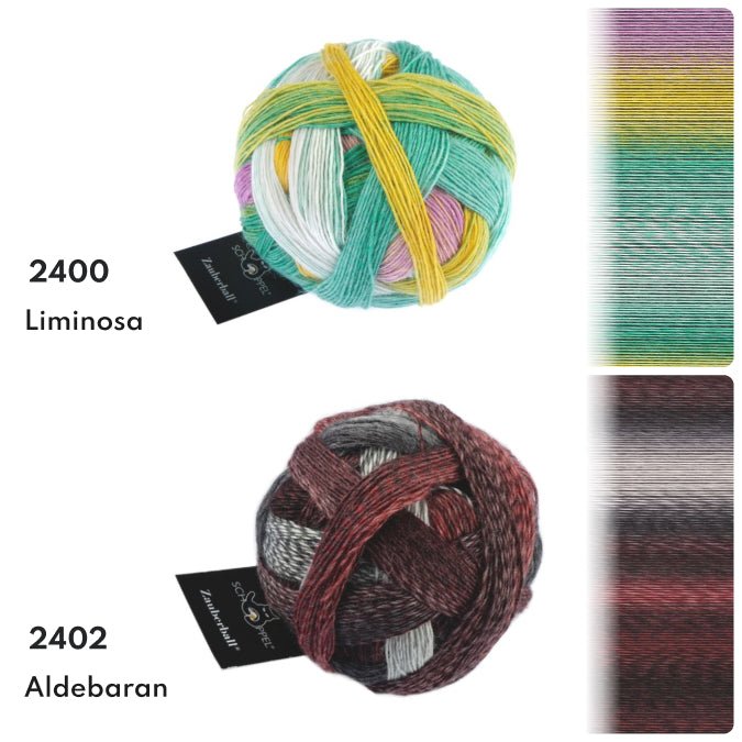 SCHOPPEL Zauberball Crazy 2136 | Knitting yarn shop / dzijas veikals